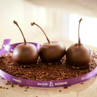 CHOCOLATERIE Eysines SEGONZAC